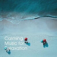 Aphrodite - Calm Music For Studying & Meditation Relaxation Club & Soothing Mind Music