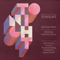 Tonight - Miguel Migs & Meshell Ndegeocello & Miguel Migs feat. Meshell Ndegeocello & James Dexter