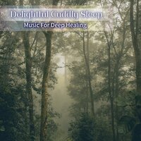Hushed Vistas of the Soul - Delightful Cuddly Sleep