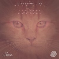 Blue Bird - Circle of Life