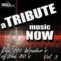 Funkytown - The Tribute Beat
