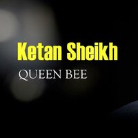 The Apis - Ketan Sheikh