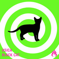 Black Cat - Usica