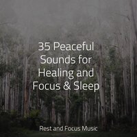 Chakra Balancing - Música para Massagem Especialistas & Childrens Music & Smart Baby Lullaby