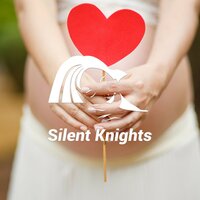 Womb Heartbeat With Bubbles and Pulsing Tone - Silent Knights