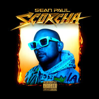 Pon Di Reel - Sean Paul & Stylo G