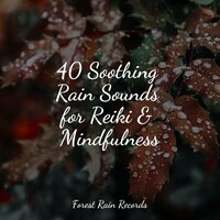 Camping by the Fire - Relaxing Mindfulness Meditation Relaxation Maestro & FX & Effects & Spa Music Relaxation