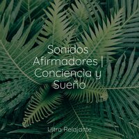 Sabanas Color Pastel - Meditacion Budista Maestros & Lluvia & Musica Para Relajarse