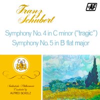 Symphony No. 5, D. 485: II. Andante con moto - Suddeutsche Philharmonie & Франц Шуберт