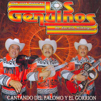 Flor De Río - Los Genuinos De Jacala Hidalgo