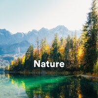 Rain Under the Porch - Naturgeräusche für Entspannung und Erholung & Musique Coeur de la Nature & La Naturaleza Del Sueño