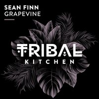 Grapevine - Sean Finn