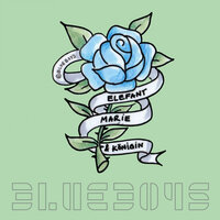 Fisch und Elefant - Blue Boys & PAN