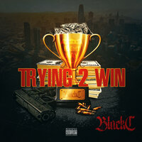 Trying 2 Win - Black C