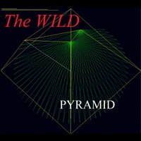 Coming Home - The Wild