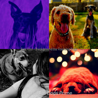 Bright Backdrops for Dogs - Music for Dogs Prime