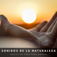 Tiempos De Oscuridad - Yoga & Ambiente para Dormir & Naturaleza FX