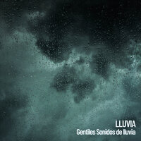 Lluvia pura - Binaural Beats Study Music & Dog Music & Relaxing music