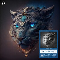 Sky Is Falling - RudeLies