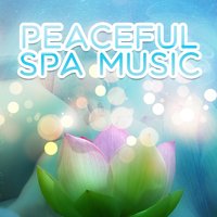 Meditation - Relaxation