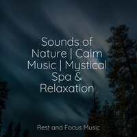 Journey to Dreamland - Yoga Sounds & Meditation Music Experience & Massage Music