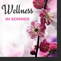 Entspannung von Sonnenaufgang bis Sonnenuntergang - Meister der Entspannung und Meditation