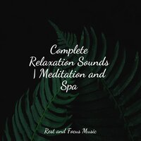 Oceans Tomorrow - Academia de Música para Massagem e Relaxamento & Study Concentration & Relaxation Music Guru
