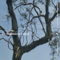 Still - Mara