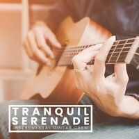 Gentle Night - Instrumental Guitar Crew