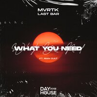 What You Need - MVRTK & Last Bar & Rian Cult