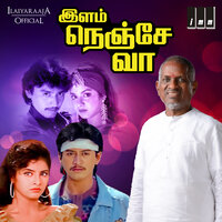 Chittu Kuruvi - Ilaiyaraaja & S P Balasubrahmanyam & K. S. Chithra