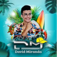 LIBERDADE PROVISÓRIA - David Miranda