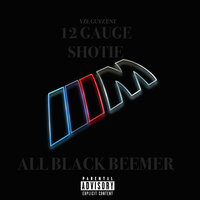 All Black Beemer - 12 Gauge Shotie