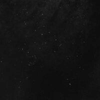 Night Crowk - FBN