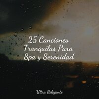 Vientos De Gracia - Sonidos de la Naturaleza para Dormir & Lluvia & Música para Relajarse Profundamente