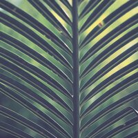 Bath Music - Oasis of Meditation & Zona Música Relaxante & Rain Forest FX