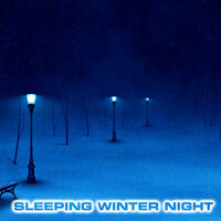 Sleeping Winter Night White Noise - National Geographic Nature Sounds & Nature Sounds New Age & Soothing Sounds & White Noise Sounds For Sleep & White Noise Ambience & National Geographic Soundscapes