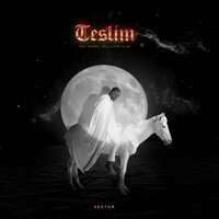 Fefe (Ferrari) - Vector & SHADO CHRIS