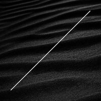 Sense Of Disobedience - Nodo