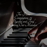 Comforting Moods - Piano Bar Music Specialists & Klassisk Musik Orkester & Chillout Piano Lounge