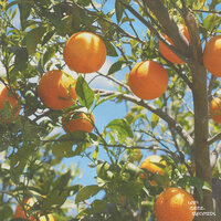 Citrus - Kust