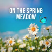 On the Spring Meadow, Pt. 12 - Relaxing White Noise Sounds