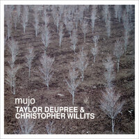 Solar Rotation - Taylor Deupree & Christopher Willits