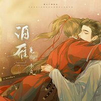 泊雁（《鸿雁不传》严杨原创剧情歌） - 晃儿 & 南风ZJN & 雁心社