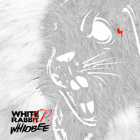 Guapo - whidbee