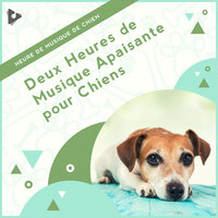 Piano de fond pour chiots - Heure de Musique de Chien & Musique Relaxante pour Chiens & Musique Apaisante pour Chiots