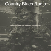 Soulful Moods for Traveling - Country Blues Radio