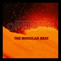 The Never - The Modular Beat