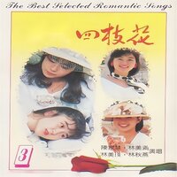 香港假期 - 林秋燕 & 陈家慧 & 林美瑛 & 林美满