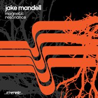 Dye Electric - Jake Mandell